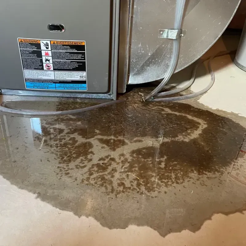 Appliance Leak Cleanup in Hardinsburg, KY